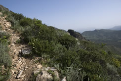 randonnée en Corse